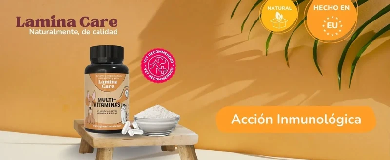 Lamina Care - Multi vitaminas para cães e gatos, fortalecem o sistema imunitário e as defesas, 180 cápsulas de vitaminas