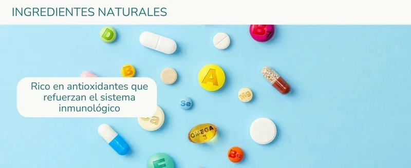 Lamina Care - Multi vitaminas para cães e gatos, fortalecem o sistema imunitário e as defesas, 180 cápsulas de vitaminas