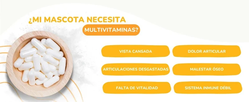Lamina Care - Multi vitaminas para cães e gatos, fortalecem o sistema imunitário e as defesas, 180 cápsulas de vitaminas