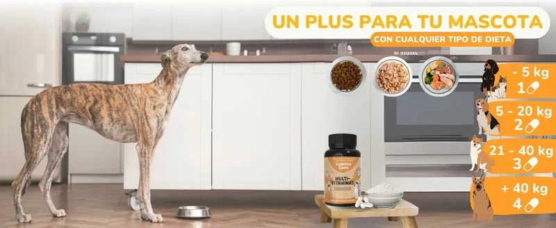 Lamina Care - Multi vitaminas para cães e gatos, fortalecem o sistema imunitário e as defesas, 180 cápsulas de vitaminas