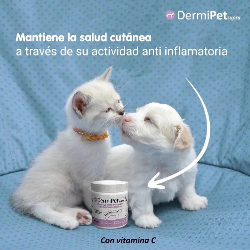 Dermipet Supra para Alergias e intolerâncias em gatos e cães - Botão Frutescens, Rihzoma Curcumae, Quercetina, vitamina C