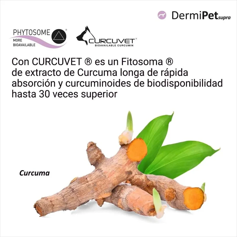 Dermipet Supra para Alergias e intolerâncias em gatos e cães - Botão Frutescens, Rihzoma Curcumae, Quercetina, vitamina C