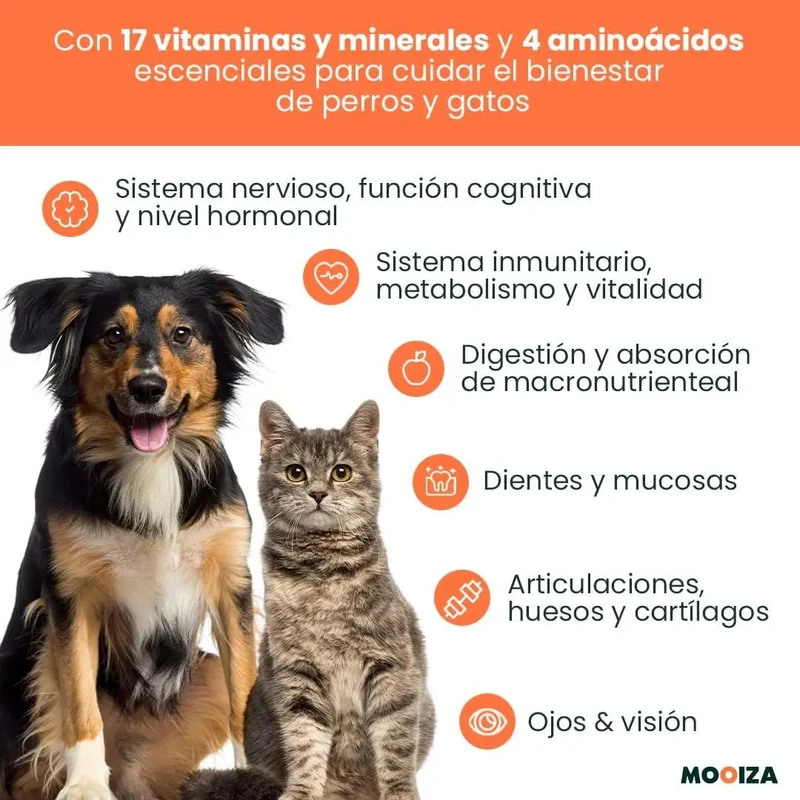 MOOIZA Vita - 21 multivitaminas e minerais para cães e gatos, aminoácidos, complexo vitamina B com vitamina A, C, D3 - zinco - iodo - cálcio - apoio imunitário - ossos