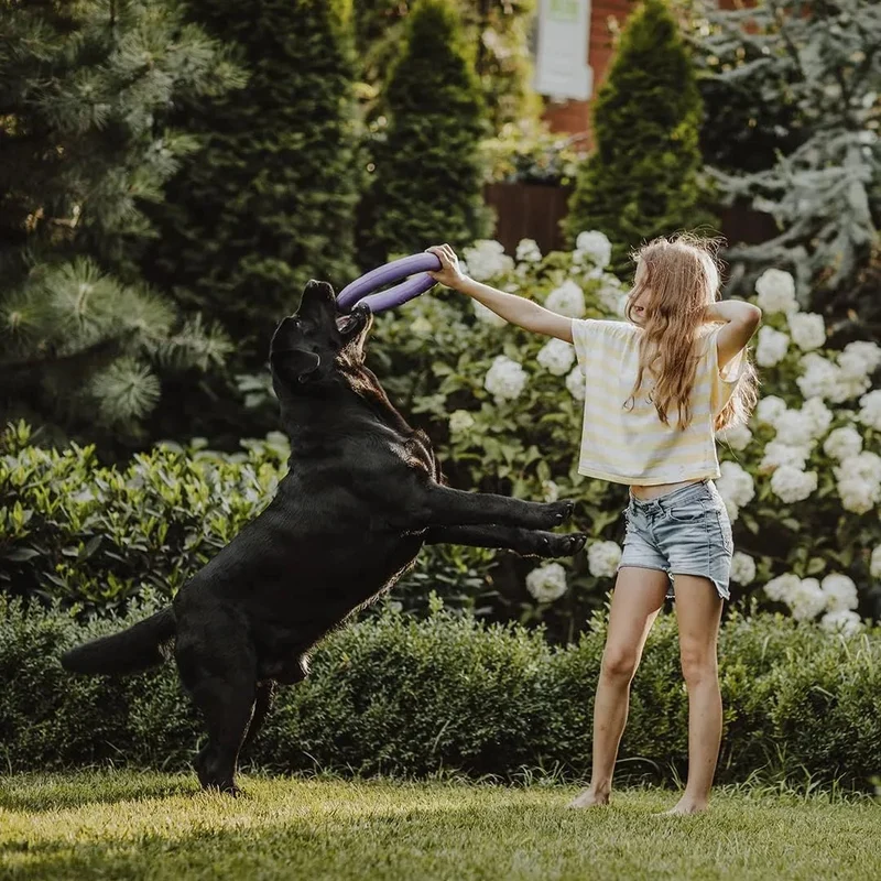MOOIZA Vita - 21 multivitaminas e minerais para cães e gatos, aminoácidos, complexo vitamina B com vitamina A, C, D3 - zinco - iodo - cálcio - apoio imunitário - ossos