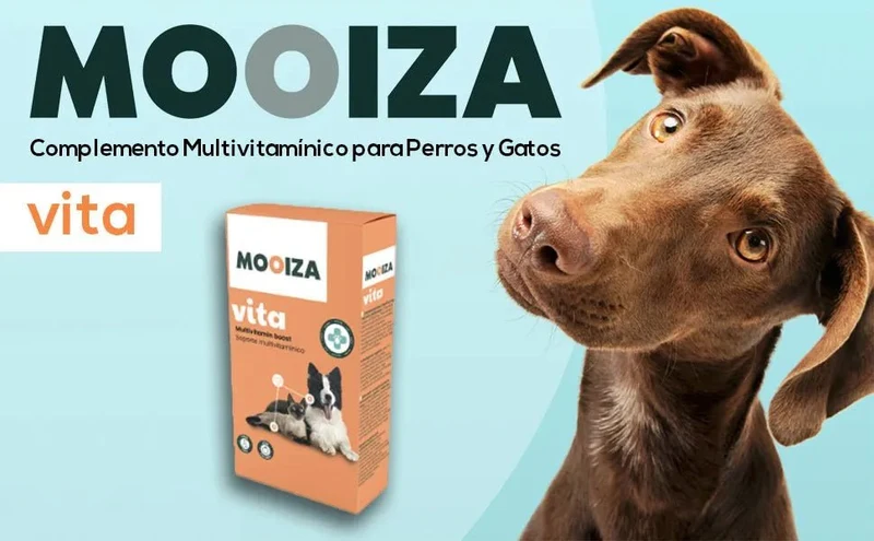MOOIZA Vita - 21 multivitaminas e minerais para cães e gatos, aminoácidos, complexo vitamina B com vitamina A, C, D3 - zinco - iodo - cálcio - apoio imunitário - ossos