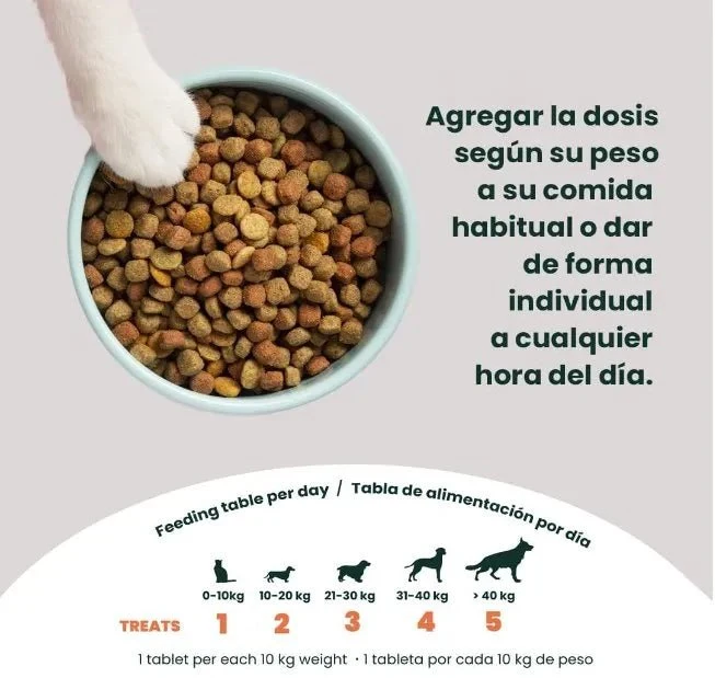 MOOIZA Vita - 21 multivitaminas e minerais para cães e gatos, aminoácidos, complexo vitamina B com vitamina A, C, D3 - zinco - iodo - cálcio - apoio imunitário - ossos