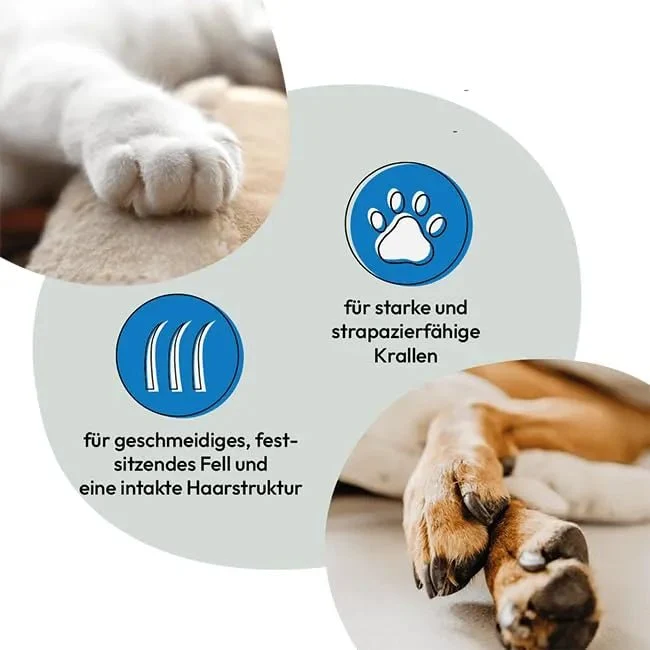 Biotin Forte, para cães e gatos, pêlo macio e unhas fortes, (1 x 400 unidades)