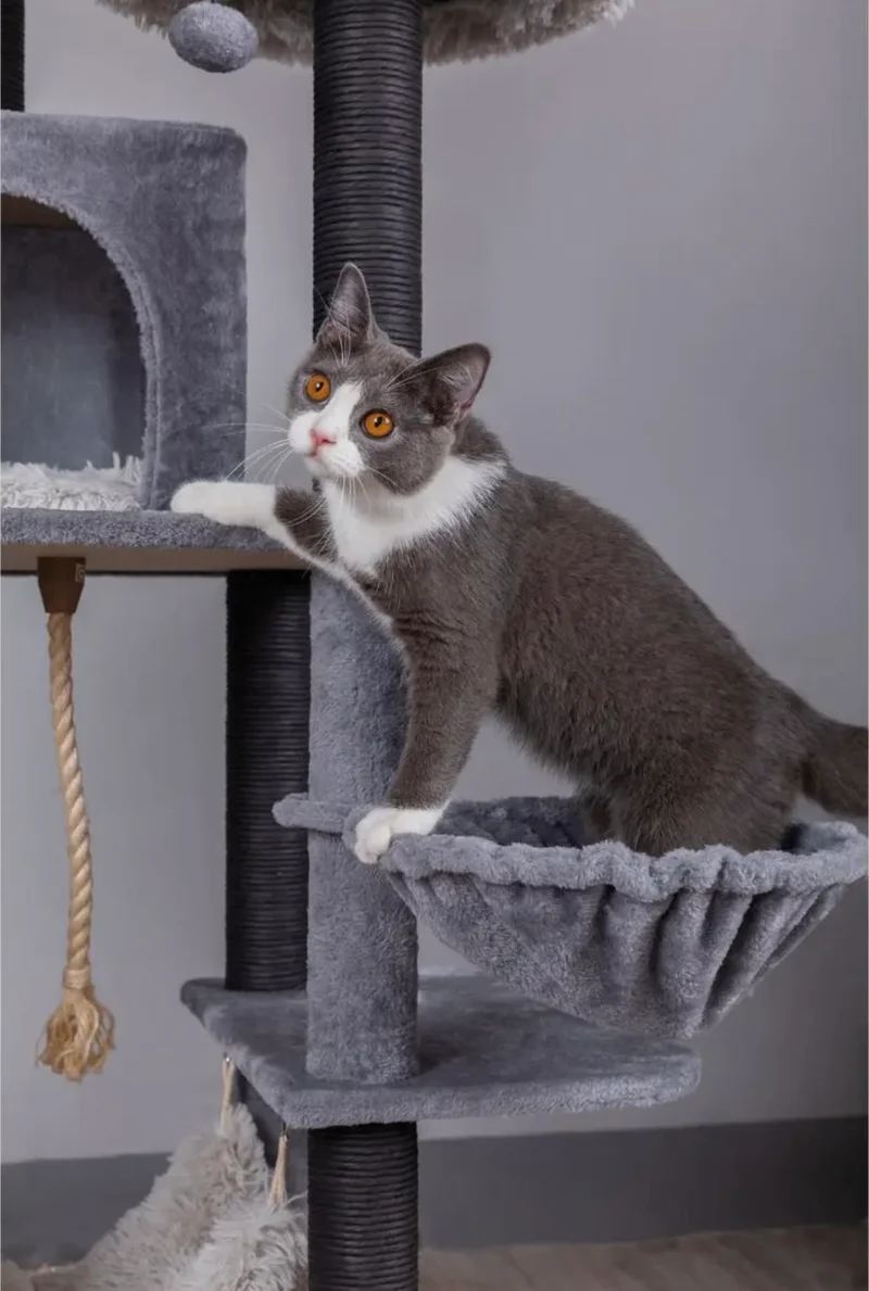 Catry Bradbury Kratzbaum, 7-stöckig, Grau