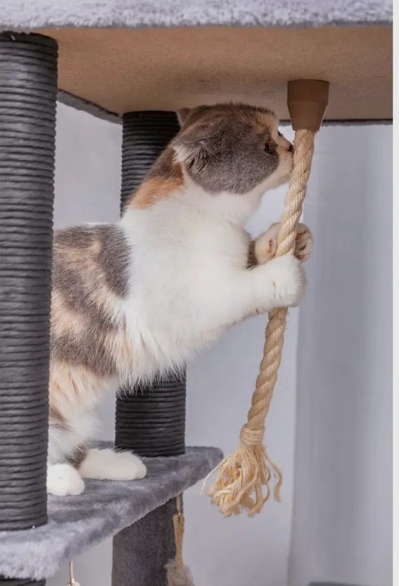 Catry Bradbury Kratzbaum, 7-stöckig, Grau
