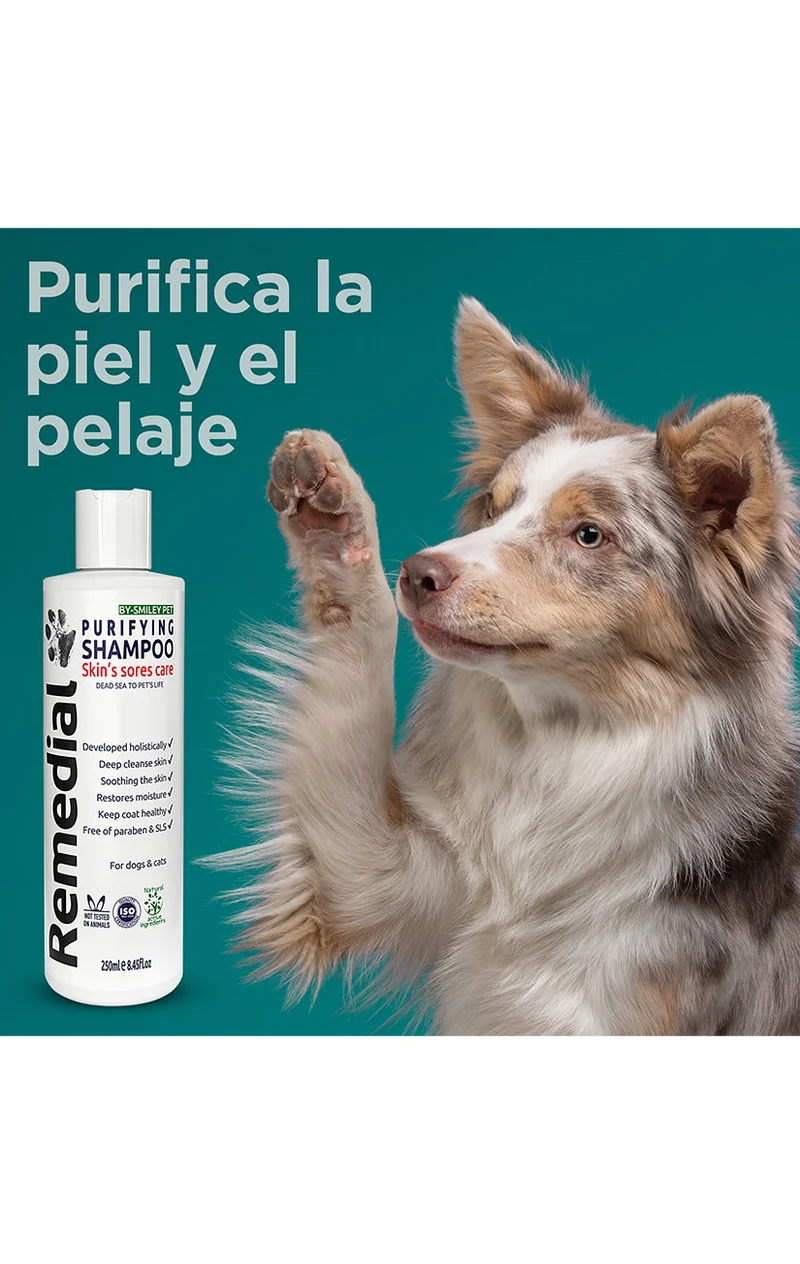 Champú purificante