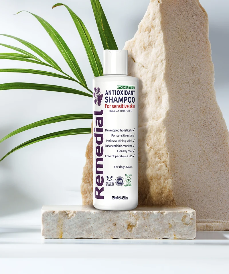 Champú antioxidante