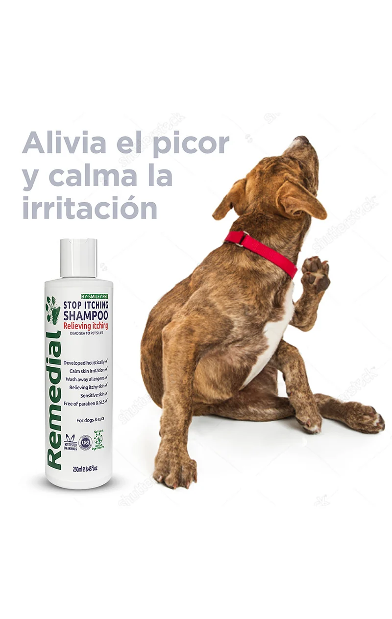 Champú anti picores y calmante