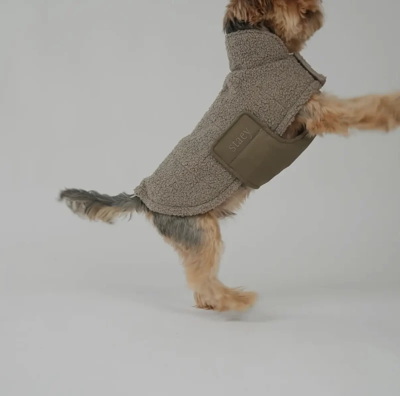 Hundemantel Teddy | Taupe