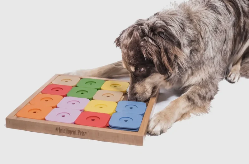 SUDOKU Medium Genie Color - intelligentes Hundepuzzle