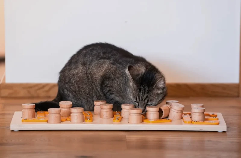MICE - intelligentes Katzen- und Hundespielzeug