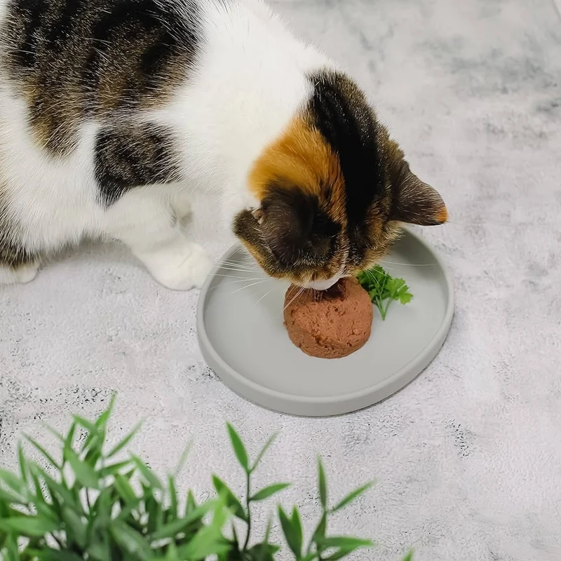 Katzen Silikon Futterschale: schnurrhaarfreundlich