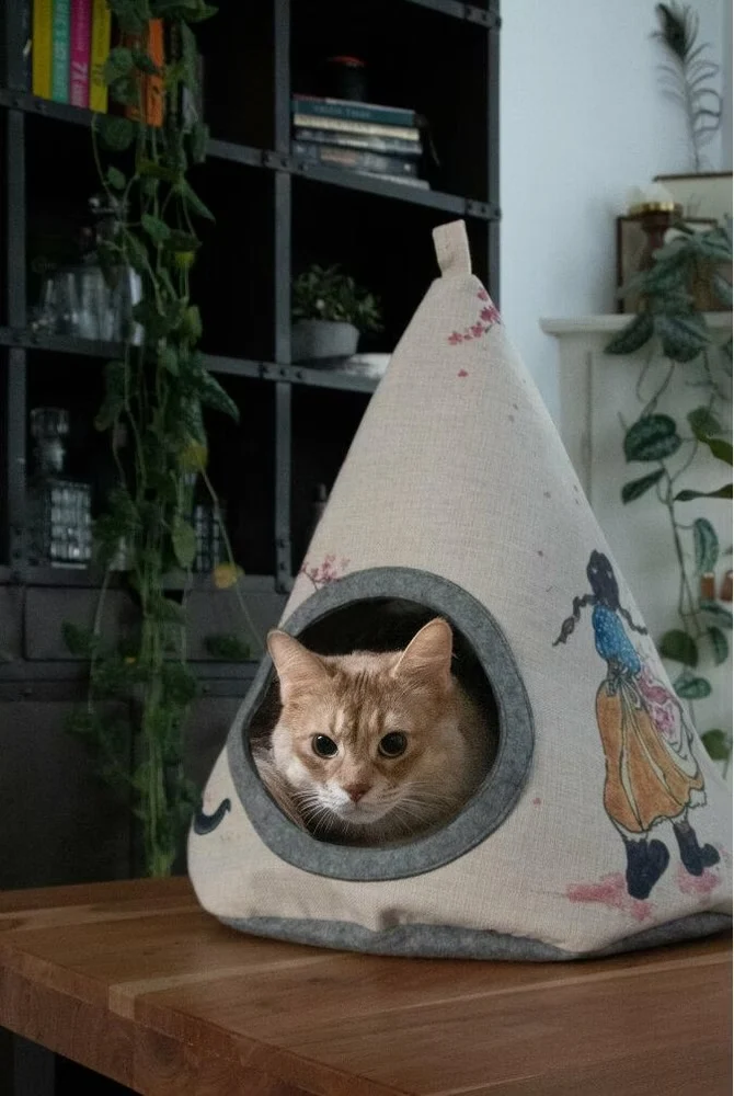 Tipi Kirschblüte