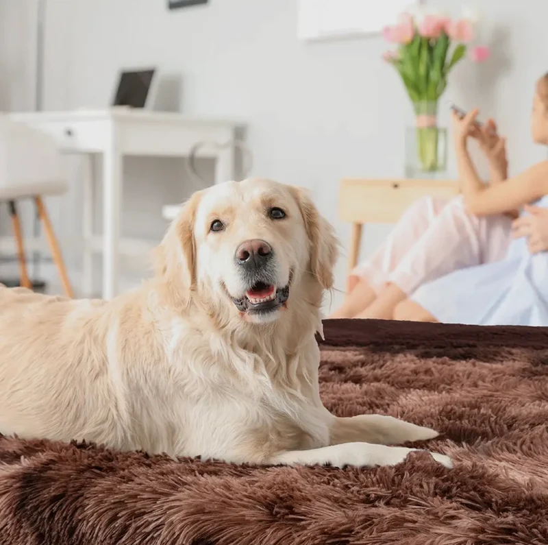 Wasserdichte Haustierdecke, Braun