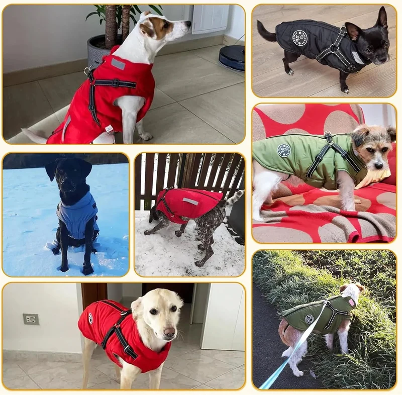 Casaco verde de inverno para cão, impermeável, resistente ao vento, com tiras refletoras seguras e arnês ajustável