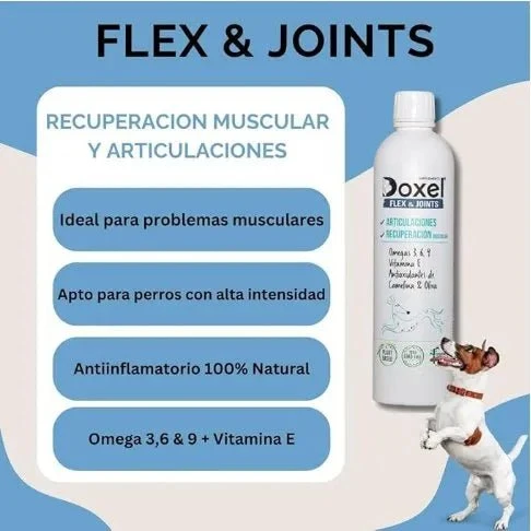 Doxel Articulações 1 L, Flex and Joints, óleo para cães, suplementos naturais nutricionais, antioxidantes, recuperação muscular, sistema imunitário reforçado