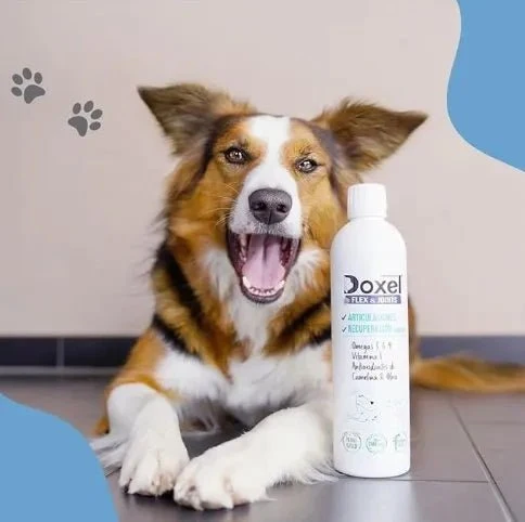 Doxel Articulações 1 L, Flex and Joints, óleo para cães, suplementos naturais nutricionais, antioxidantes, recuperação muscular, sistema imunitário reforçado