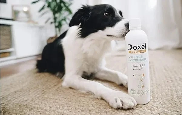 DOXEL Original 4ALL - Óleo para cães | Suplemento natural, sistema imunitário reforçado, articulações saudáveis, pêlo brilhante, pele saudável, ácidos gordos ômega 3 6 9, vitamina E