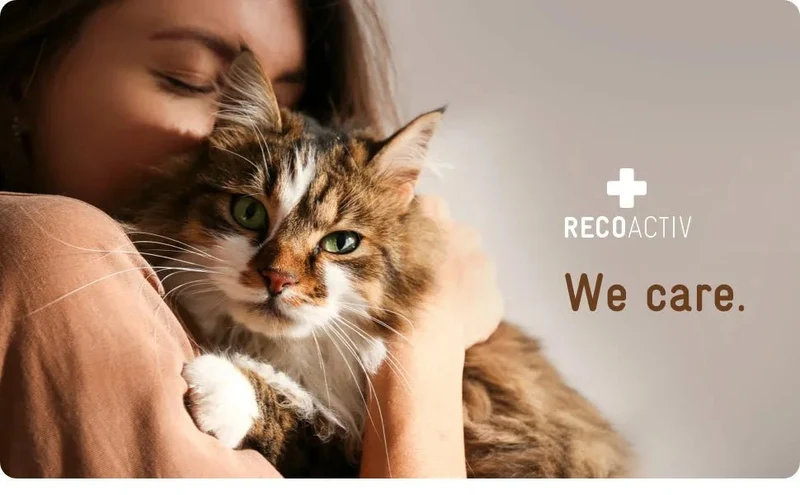 RECOACTIV Tónico renal para gatos, 3 x 90 ml, suplemento alimentar com aglutinante de fosfato para reduzir o conteúdo de fosfato na dieta em casos de insuficiência renal ou IRC