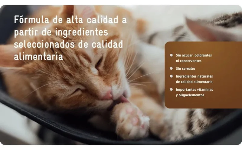 RECOACTIV Tónico renal para gatos, 3 x 90 ml, suplemento alimentar com aglutinante de fosfato para reduzir o conteúdo de fosfato na dieta em casos de insuficiência renal ou IRC
