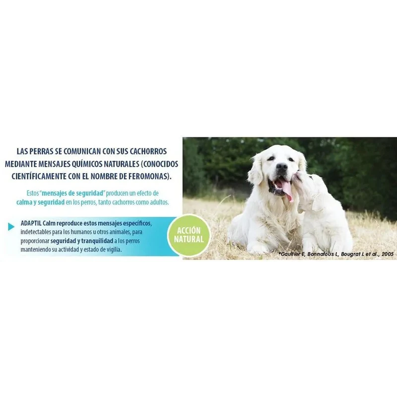 ADAPTIL Calm - anti-stress para cães (medos, ruídos fortes) - uso só em casa - Difusor + Recarga 48 ml