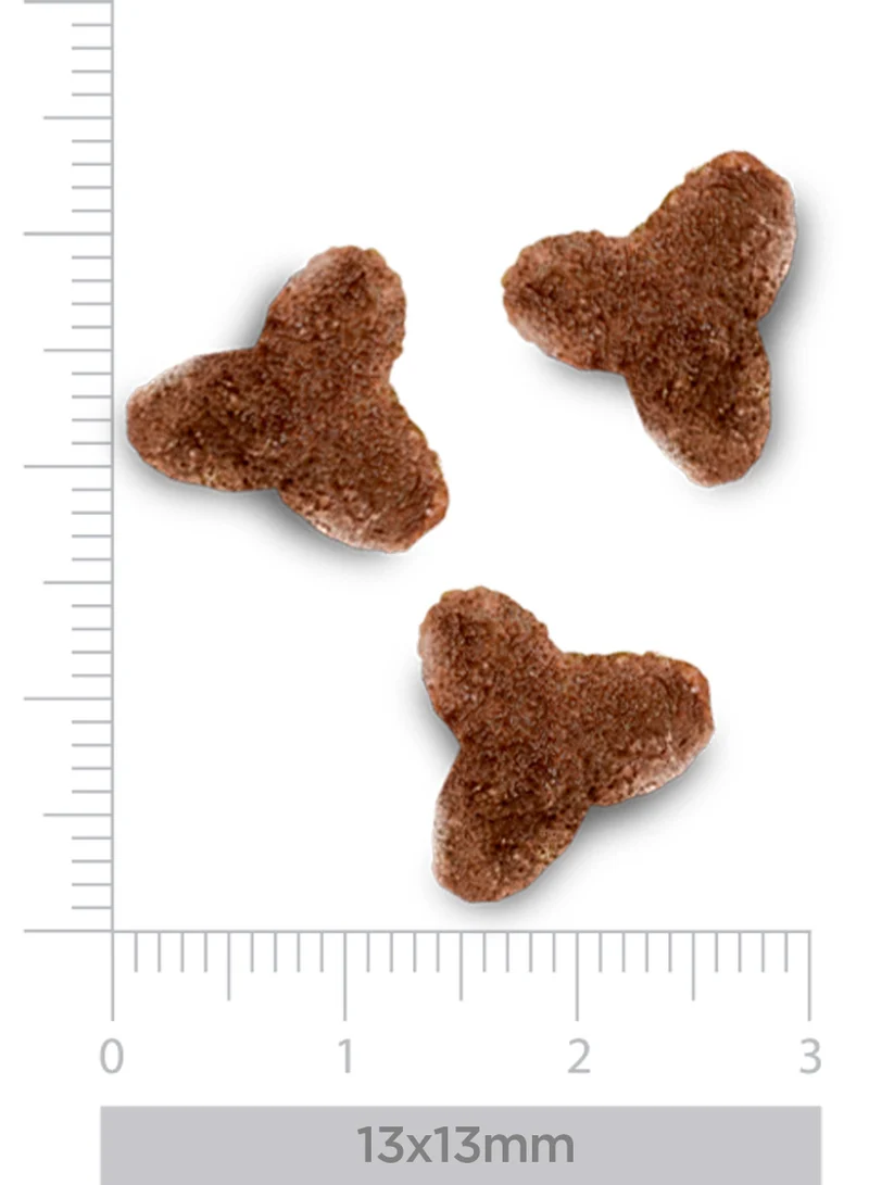 Hepatic - para gatos