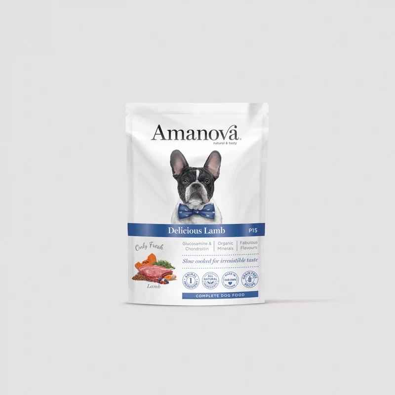 P15 Adult Dog