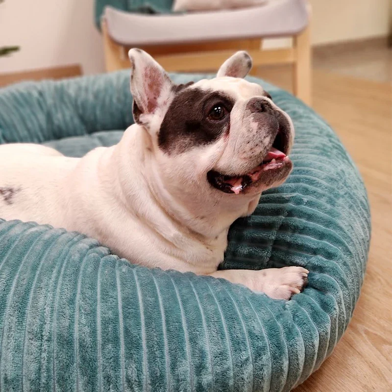 weiches Hundebett - Supersoft| Wasser Grün
