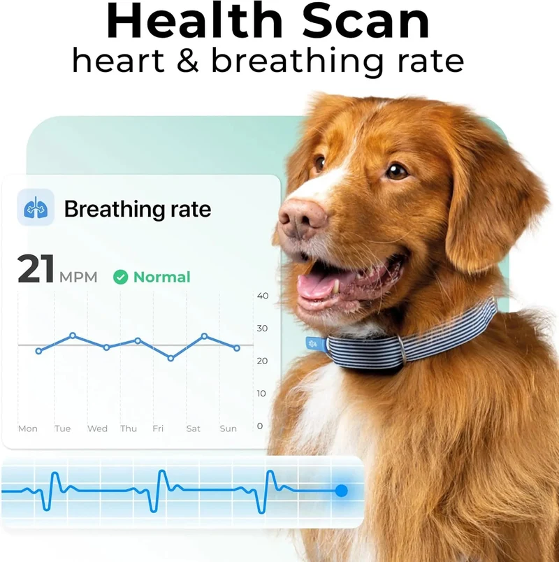 Rastreador de saúde e GPS para cães #1 - informação cardíaca e respiratória - localização em tempo real - análise de atividade e bem-estar - compacta, leve e fácil de instalar