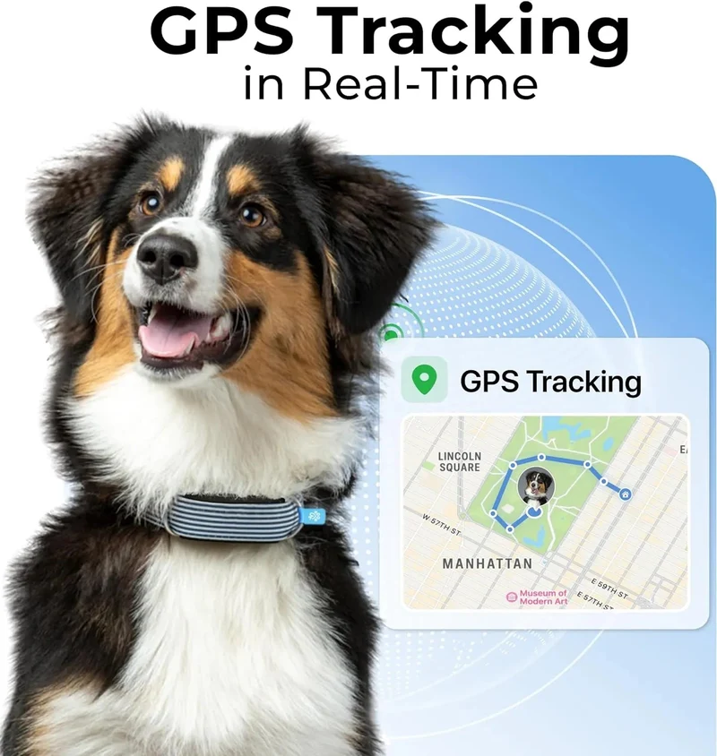Rastreador de saúde e GPS para cães #1 - informação cardíaca e respiratória - localização em tempo real - análise de atividade e bem-estar - compacta, leve e fácil de instalar