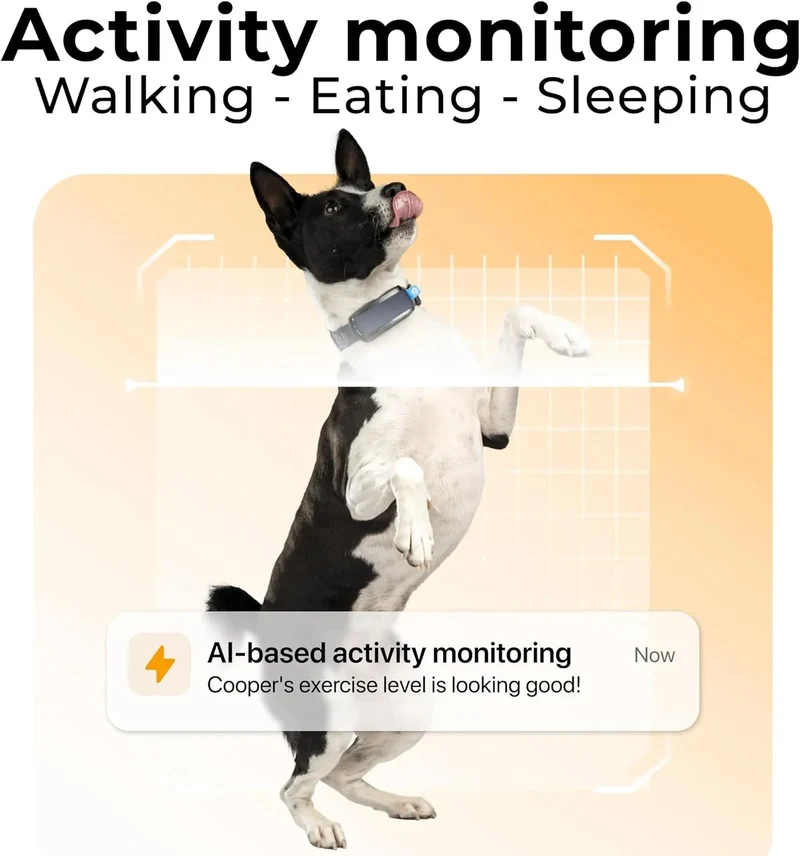 Rastreador de saúde e GPS para cães #1 - informação cardíaca e respiratória - localização em tempo real - análise de atividade e bem-estar - compacta, leve e fácil de instalar