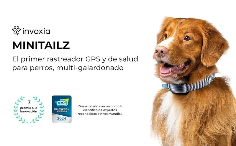 Rastreador de saúde e GPS para cães #1 - informação cardíaca e respiratória - localização em tempo real - análise de atividade e bem-estar - compacta, leve e fácil de instalar