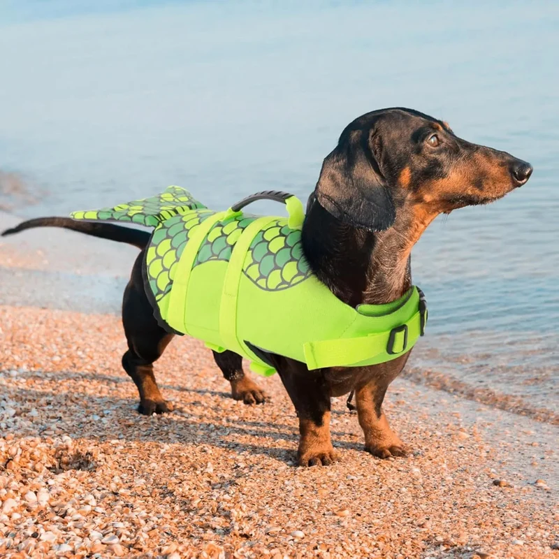 Flutuador, Colete Salva-Vidas para cães pequenos e grandes