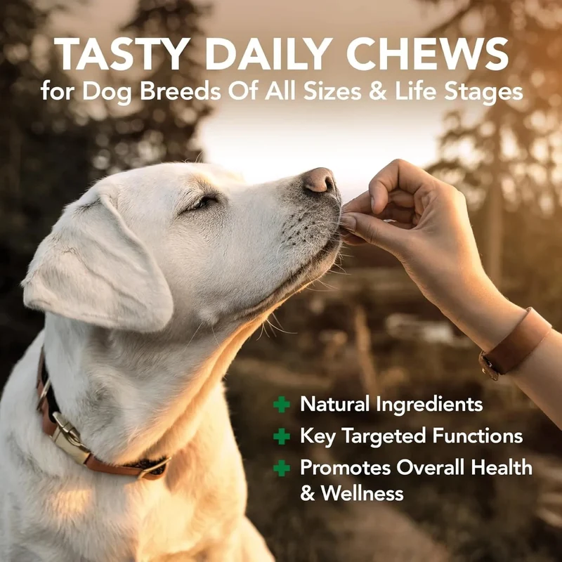 Daily Soft Chews - Suplementos para cães idosos, cães adultos ou cachorrinhos