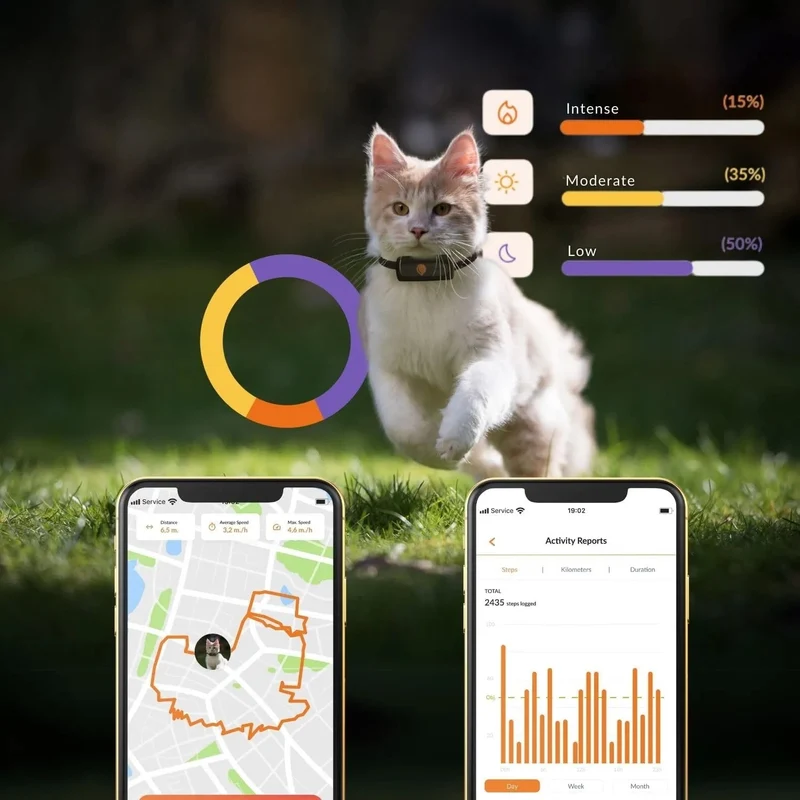 Novo GPS para gatos | Cat XS | mini rastreador GPS em tempo real | o menor do mercado | subscrição | coleira incluída