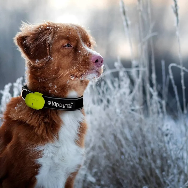 Capa de silicone de proteção para localizador GPS para cães e gatos EVO com fecho de botão - capa para fixar a coleira e arnês