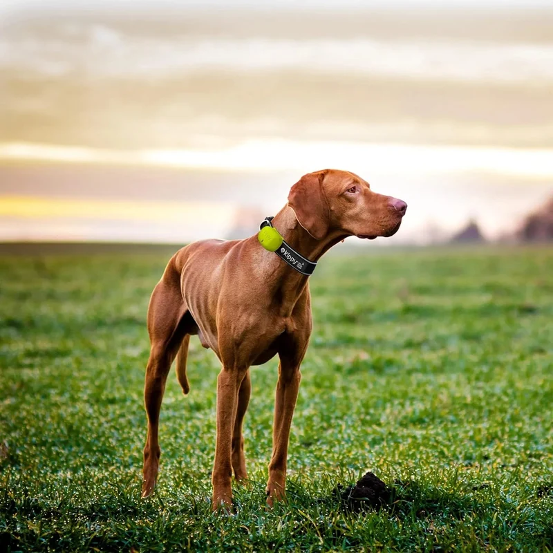 Capa de silicone de proteção para localizador GPS para cães e gatos EVO com fecho de botão - capa para fixar a coleira e arnês