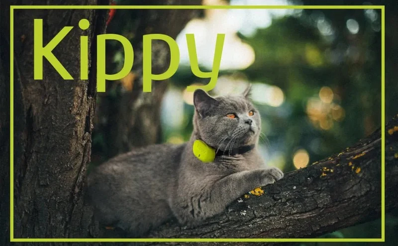 Capa de silicone de proteção para localizador GPS para cães e gatos EVO com fecho de botão - capa para fixar a coleira e arnês