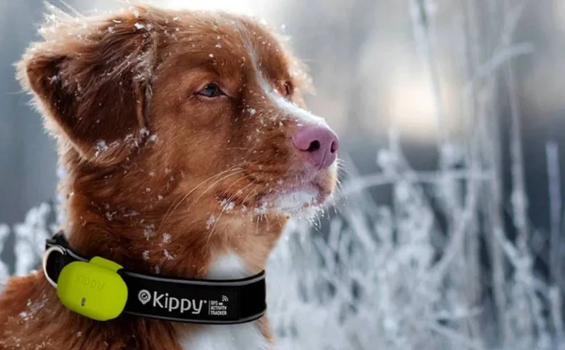 Capa de silicone de proteção para localizador GPS para cães e gatos EVO com fecho de botão - capa para fixar a coleira e arnês