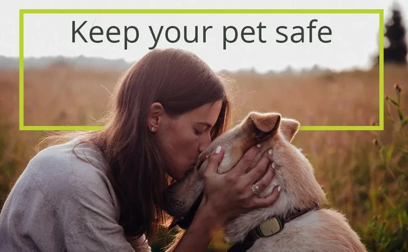 Capa de silicone de proteção para localizador GPS para cães e gatos EVO com fecho de botão - capa para fixar a coleira e arnês