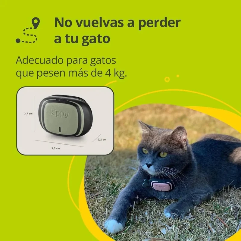 Nova Coleira GPS para Cães e Gatos - Seguimento de atividade, 38 gramas, à Prova de água, bateria de 10 dias