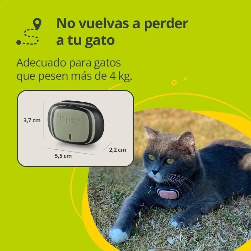 Nova Coleira GPS para Cães e Gatos - Seguimento de atividade, 38 gramas, à Prova de água, bateria de 10 dias