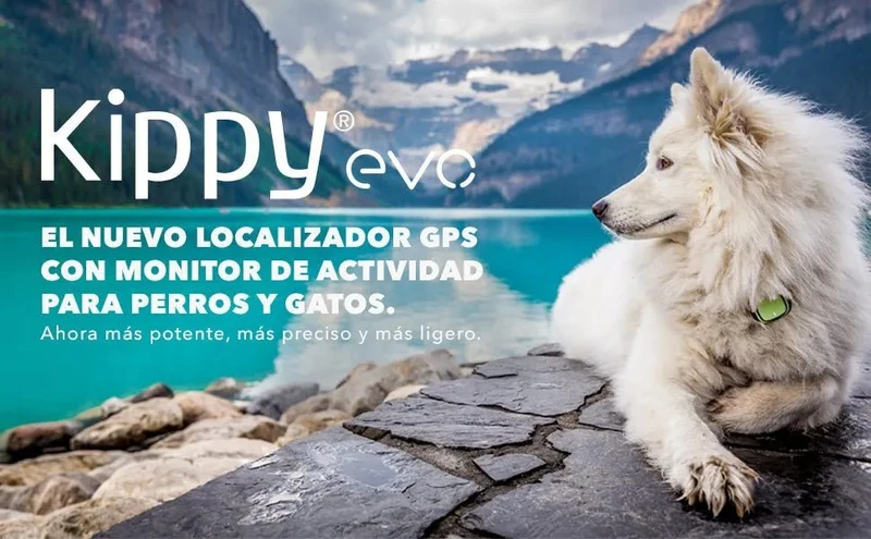 Nova Coleira GPS para Cães e Gatos - Seguimento de atividade, 38 gramas, à Prova de água, bateria de 10 dias