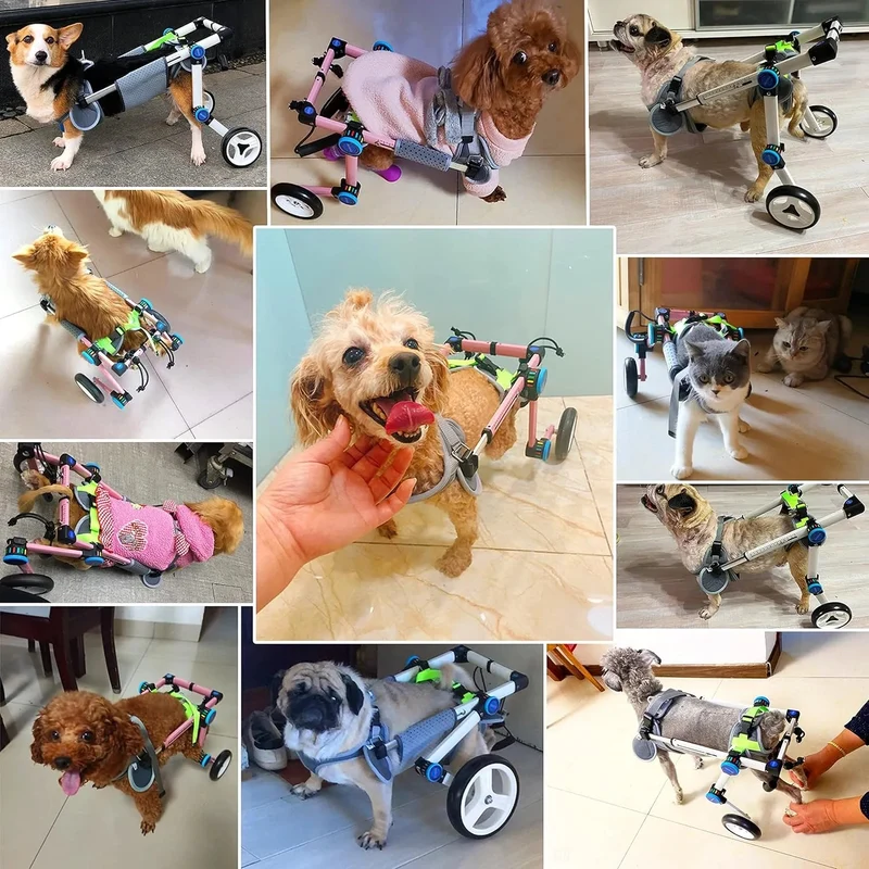 Cadeira de rodas para cães / cadeira de rodas ajustável, ajuda animais pequenos com pernas traseiras paralisadas a restaurar a mobilidade 2 cores (XS branco)