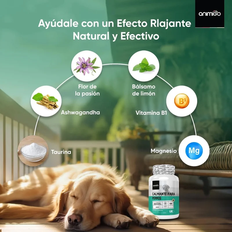 Calmante para cães - 120 cápsulas anti-stress, sem sabor - tranquilizante natural, para cães e cachorros, com vitamina B1 e magnésio relaxante e alívio para a ansiedade