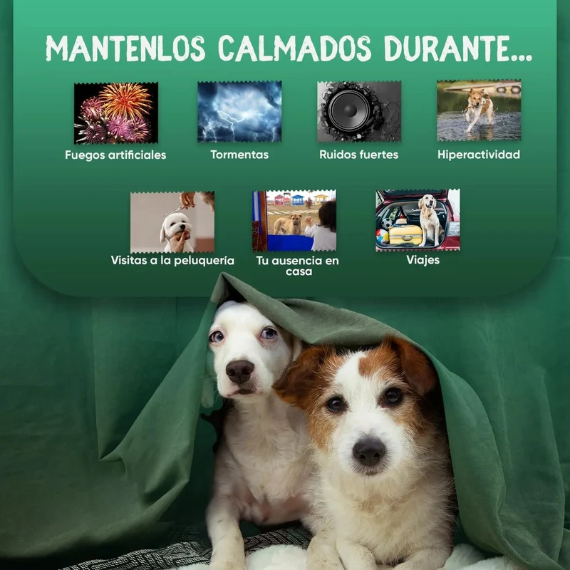 Calmante para cães - 120 cápsulas anti-stress, sem sabor - tranquilizante natural, para cães e cachorros, com vitamina B1 e magnésio relaxante e alívio para a ansiedade